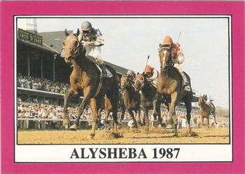 1991 Horse Star Kentucky Derby #113 Alysheba Front